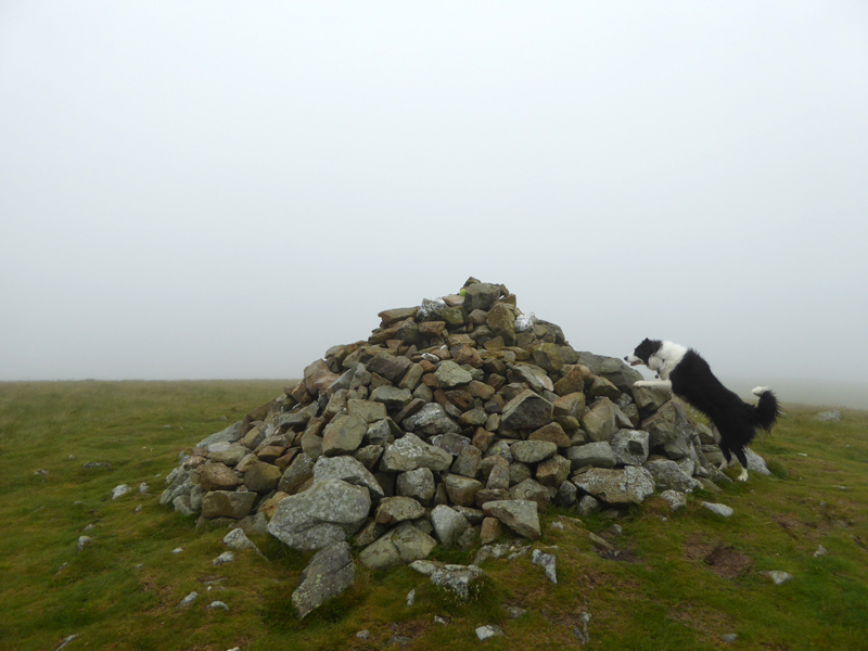 Brae Fell Summit
